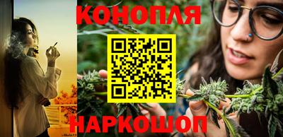 винт Славгород
