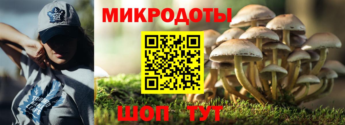 Псилоцибиновые грибы прущие грибы  где купить наркоту  Отрадный  Вход с VPN 